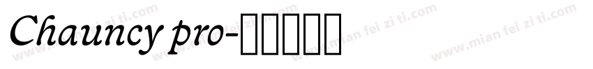 Chauncy pro字体转换